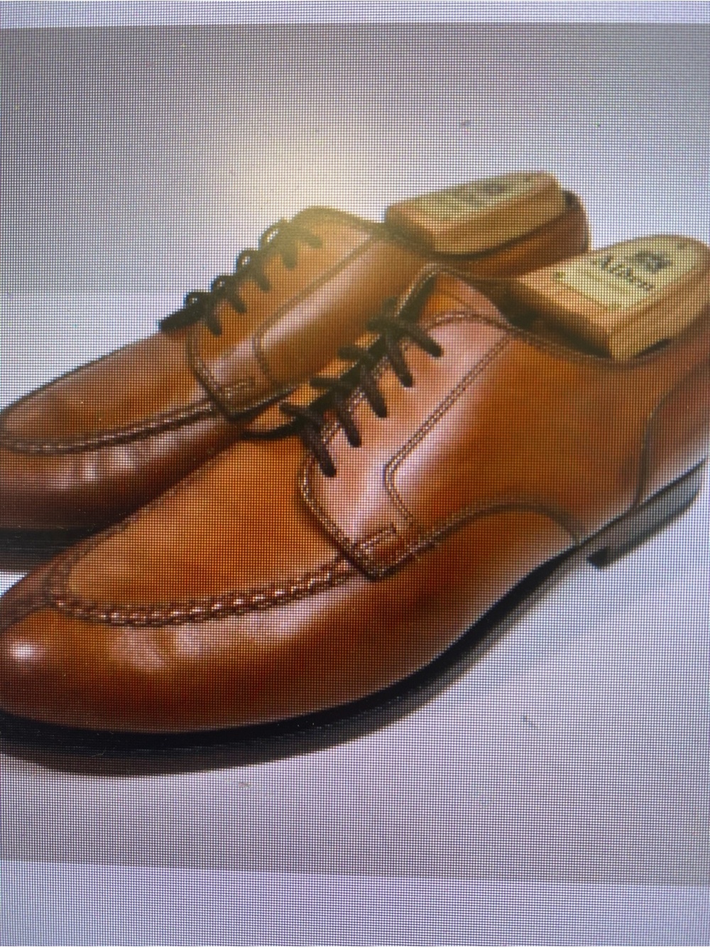 Alden Brown Leather Derby Shoes with Black Laces